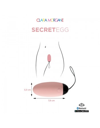 My vibrating secret egg - Rose